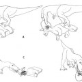 t-rex-eating-t-horridus
