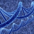 the Genetics of Blindness