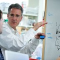 therapeutic agent to prevent stroke, heart attack
