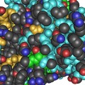 Thrombin