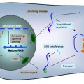 transcriptome-rna