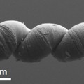 ultra-strong-carbon-nanotube-muscle
