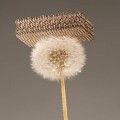 Lightest Material on Earth