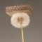 Lightest Material on Earth
