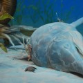 utah-museum-ichthyosaur