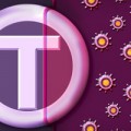 vaccine strategy for genital herpes