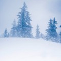 winter-cold
