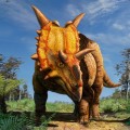 xenoceratops-wild