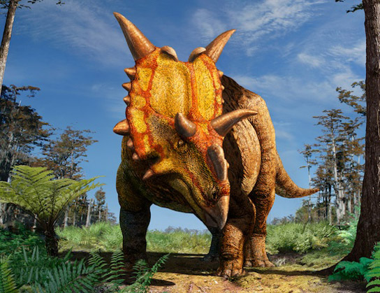 xenoceratops-wild
