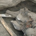 zhenya-siberia-mammoth