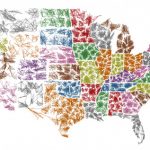 zipscribble-map-usa-fractal
