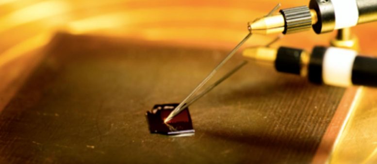 1000 Single Nano-Tube Transistors on a Chip