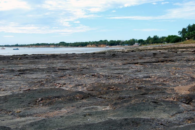 115-Million-Year-Old Sea Floor Deposits Exposed Near Darwin in Northern Australia