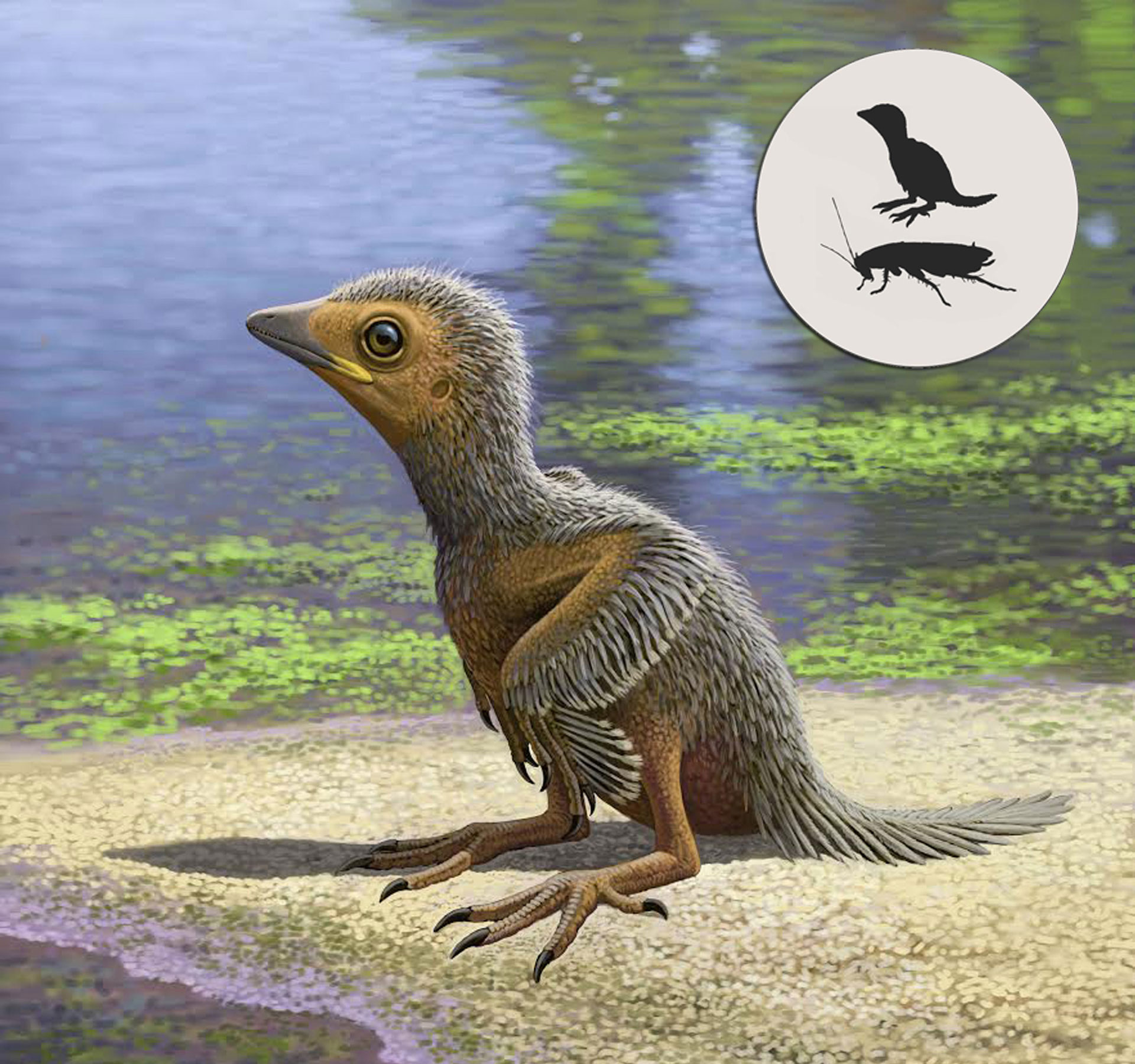 Newly Discovered Prehistoric Bird Fossil Sheds Light on Avian Evolution