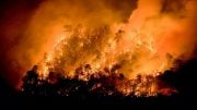 2017 San Diego Wildfires