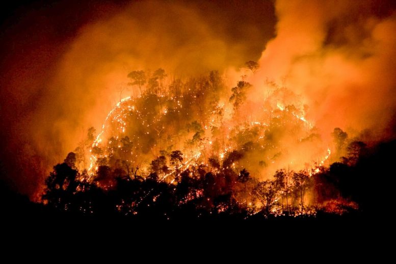 2017 San Diego Wildfires