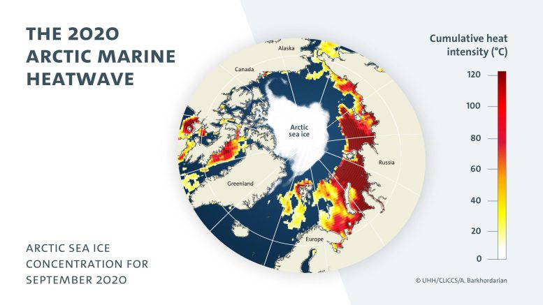 2020 Arctic Marine Heatwave