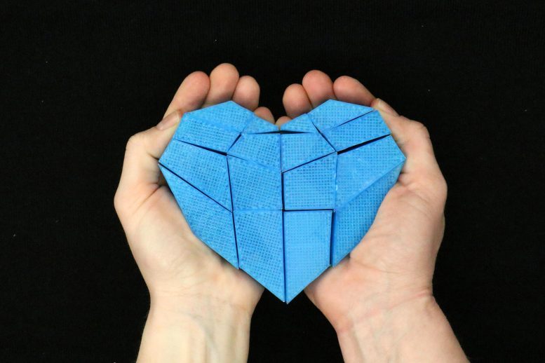 2D Kirigami Heart Structure