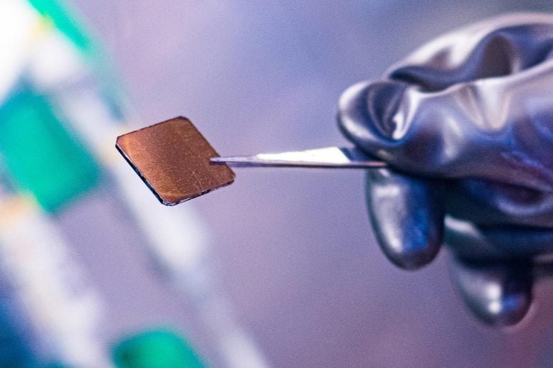 2D Perovskite Thin Film Grown from Seeds