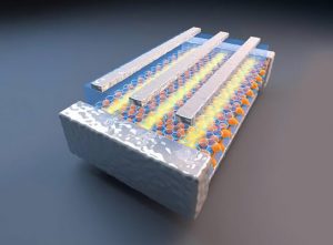 New 2D Materials Exhibit Exotic Quantum Properties