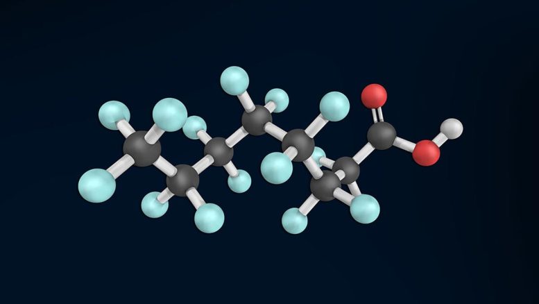3 D Rendering of a Perfluorooctanesulfonic Acid Molecule