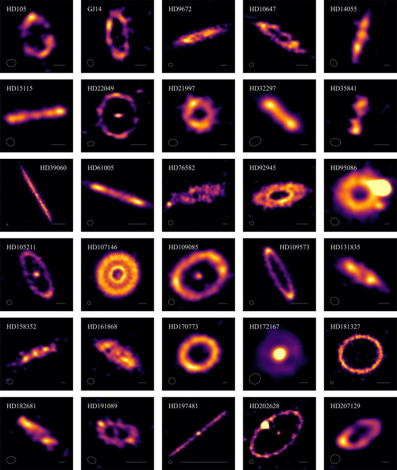 30 Exocomet Belts