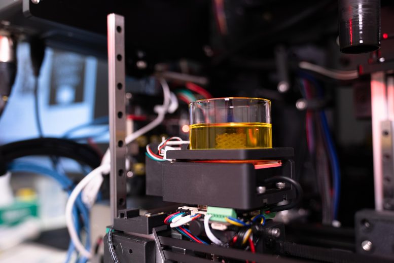 3D Bioprinter