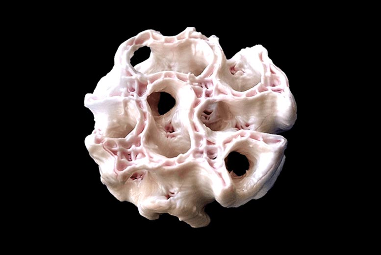 3D Bioprinting Artificial Bone