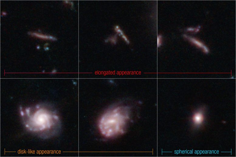 3D classifications of distant galaxies in the CEERS web survey