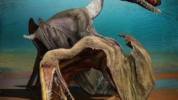 3D Embryos Provide Insight into the Life History of a Pterosaur
