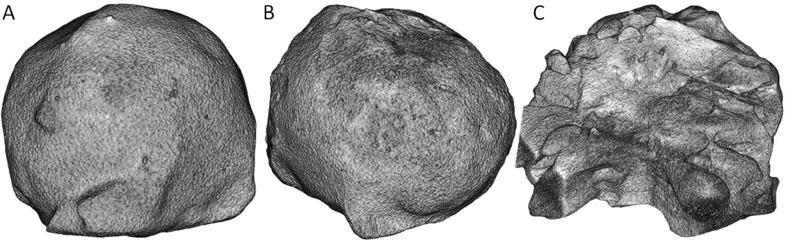 CT Scans Reveal Hidden Secrets of Giant Hailstones