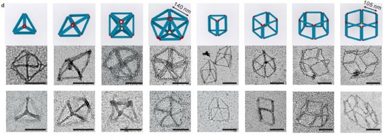 3D Polyhedra Self-Linked M-DNA