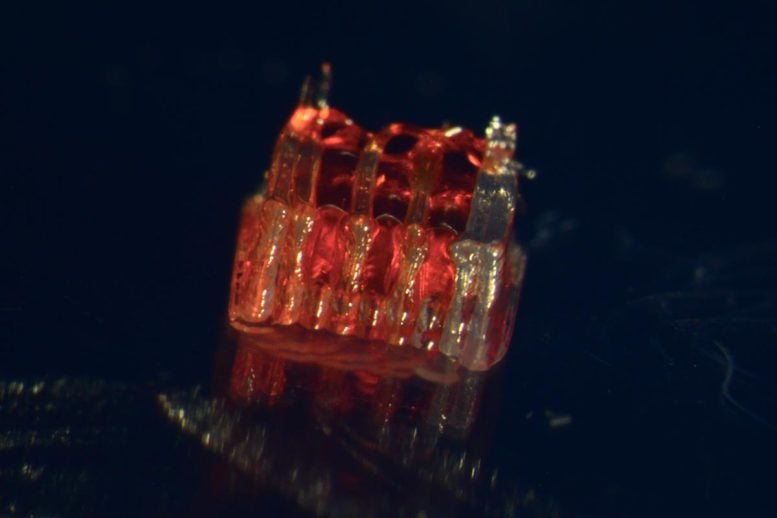 3D Printed Framework for Lab Grown Organs