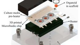 3D-Printed Microfluidic Bioreactor for Organ-on-Chip Cell Culture