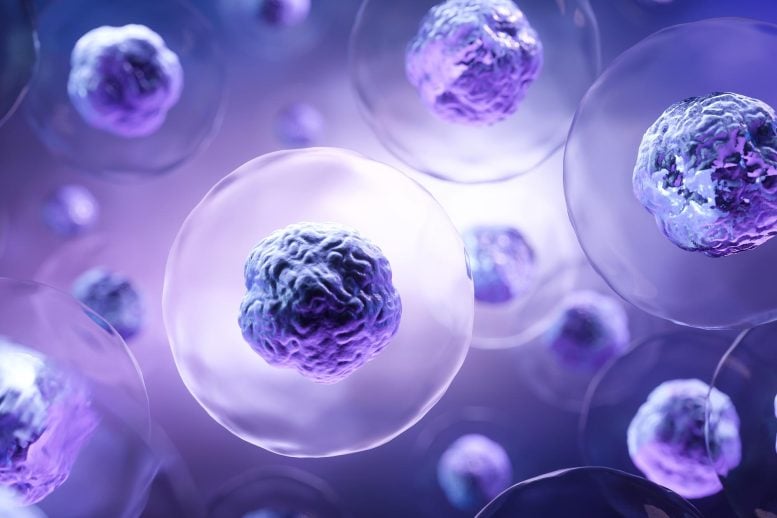 3D Rendering Human Embryonic Stem Cells