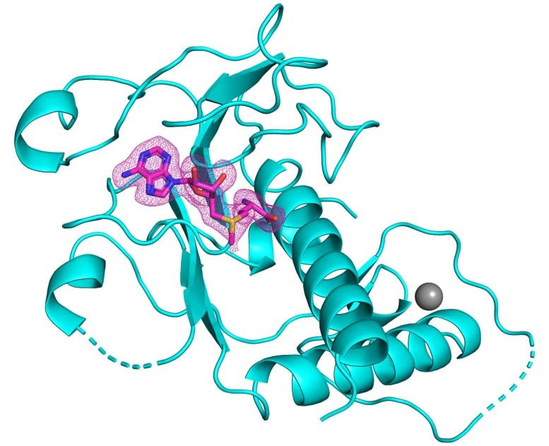 3D Structure of SARS-CoV-2 nsp14 Methyltransferase Domain