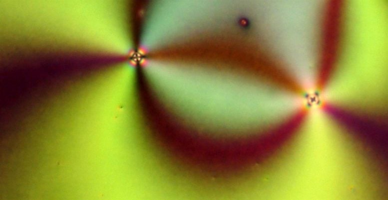 3D U-Net Neural Network for Defect Prediction in Nematic Liquid Crystals