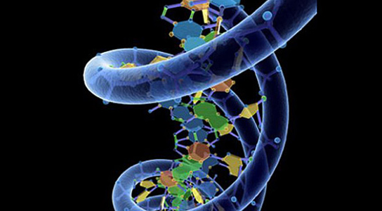 3d-model-DNA