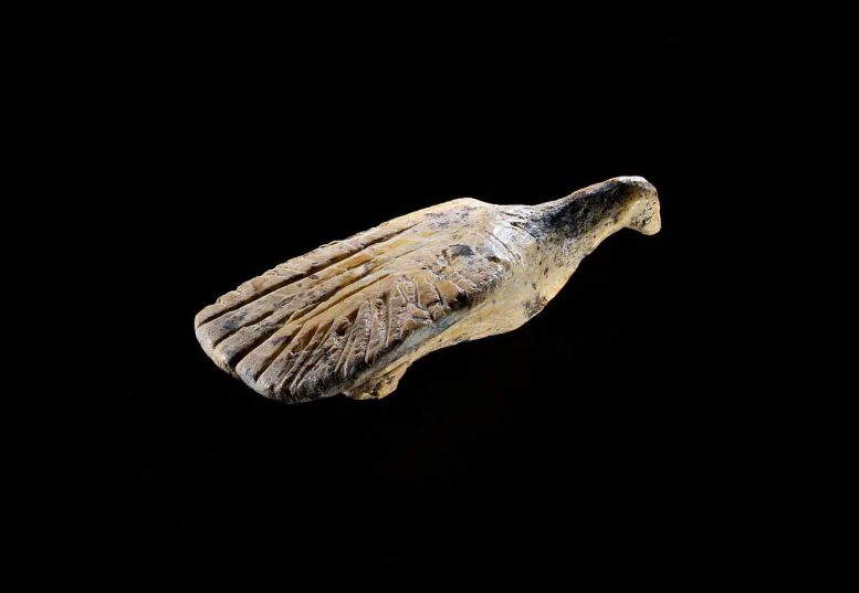 40,000 Year Old Bird Figurine With Spread Wings