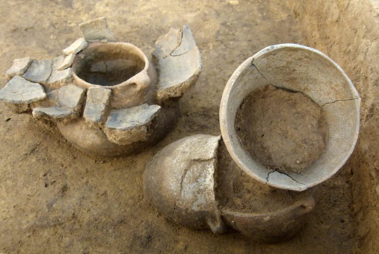 6,000-Year-Old Pottery From Lublin-Volhynian Agrarian Culture