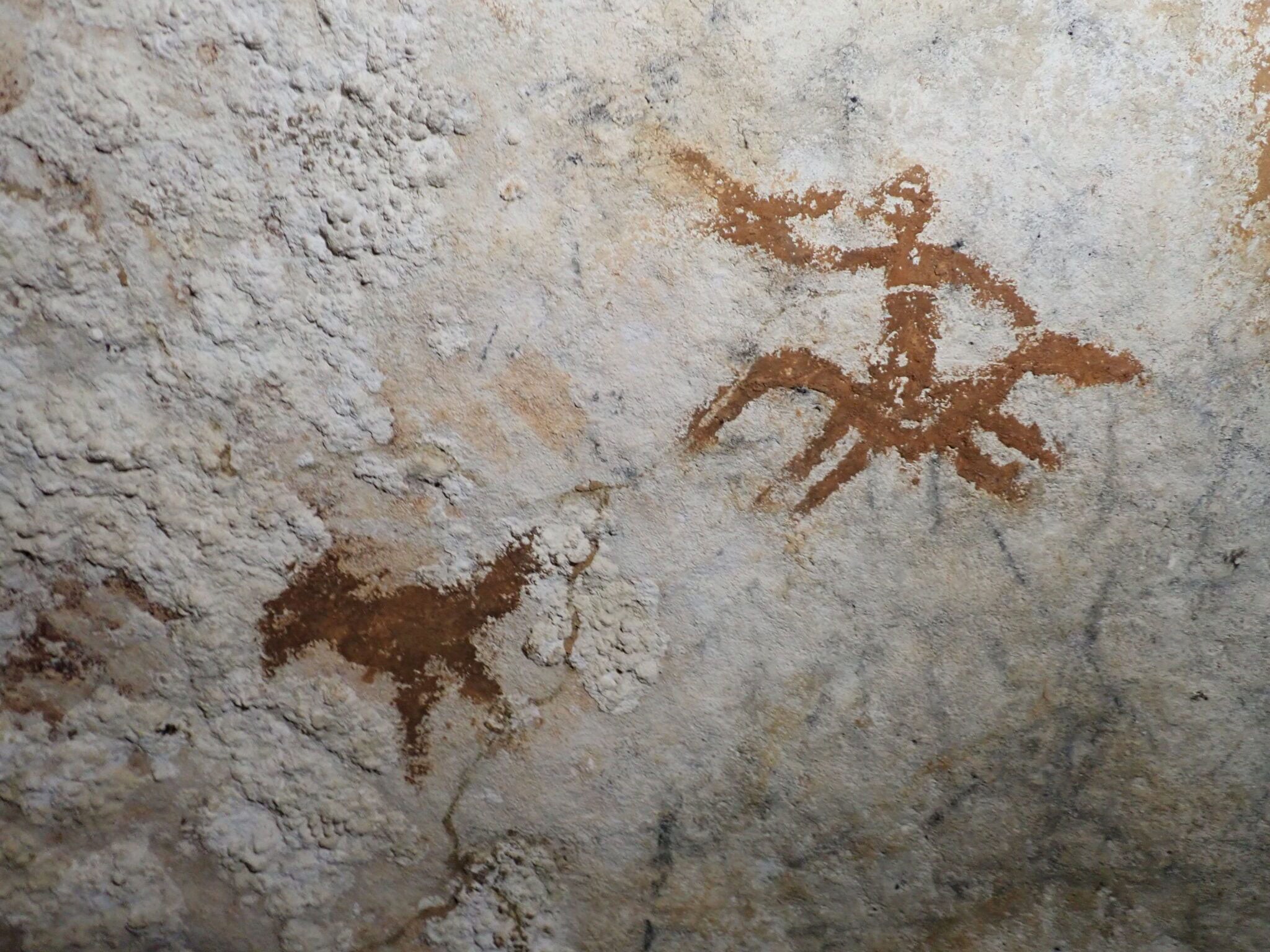 67,800 Years Old: World’s Oldest Rock Art Discovered in Indonesia
