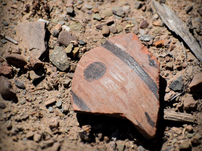 A Broken Ceramic Mug Artifact