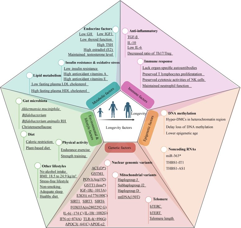 A Comprehensive Overview of the Multifactorial Determinants of Human Longevity Graphic