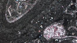 A Dolomite Sample From the Cambrian Muav Formation