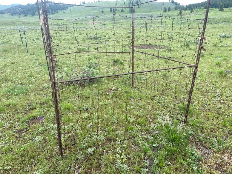 A Moveable Exclosure at One of the Dry Habitat Sites