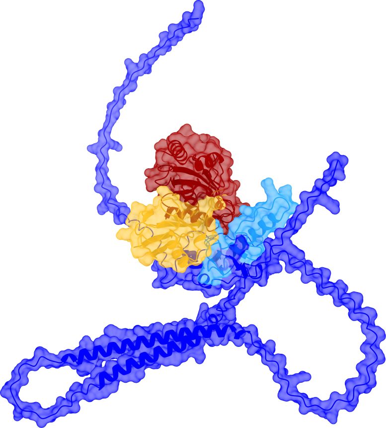 A New Family Member (RNF228) Identified in the Human E3 Ome Atlas