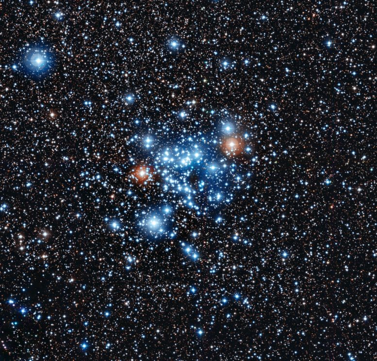 A New Kind of Variable Star Discovered