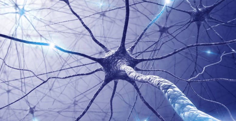 A New Method for Detecting Multiple Sclerosis