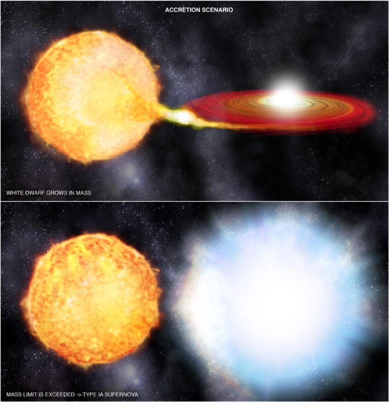 A New Supernova Model Challenges the Predominant One