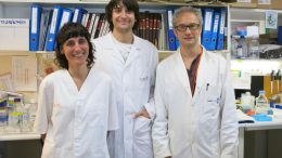 A New Therapeutic Target To Fight Metastasis in Ovarian Cancer